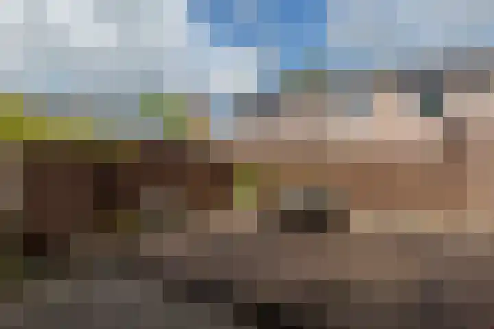 Gelde 18 Noordwolde thumbnail 28