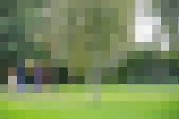 Gelde 18 Noordwolde thumbnail 33