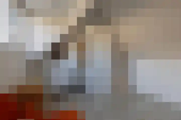 Geldelozepad 133 Dordrecht thumbnail 33