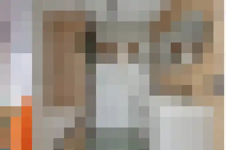 Geldelozepad 133 Dordrecht thumbnail 4