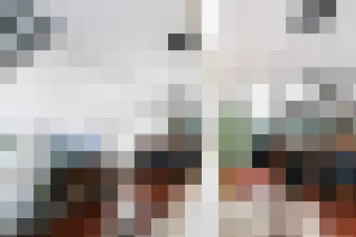 Geldelozepad 14 Dordrecht thumbnail 6