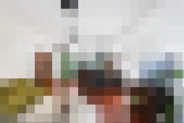 Geldelozepad 14 Dordrecht thumbnail 9