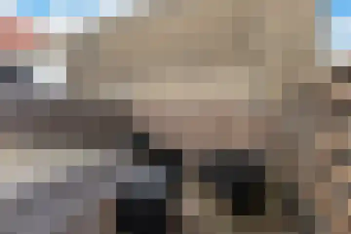 Geldelozepad 6 Dordrecht thumbnail 20