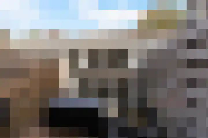 Geldelozepad 6 Dordrecht thumbnail 22