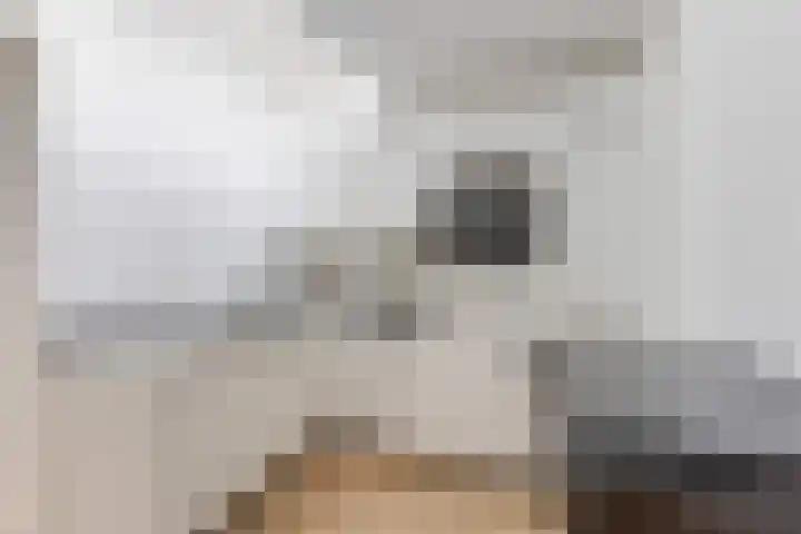 Geldelozepad 6 Dordrecht thumbnail 4