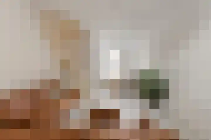 Geldelozepad 8 Dordrecht thumbnail 10