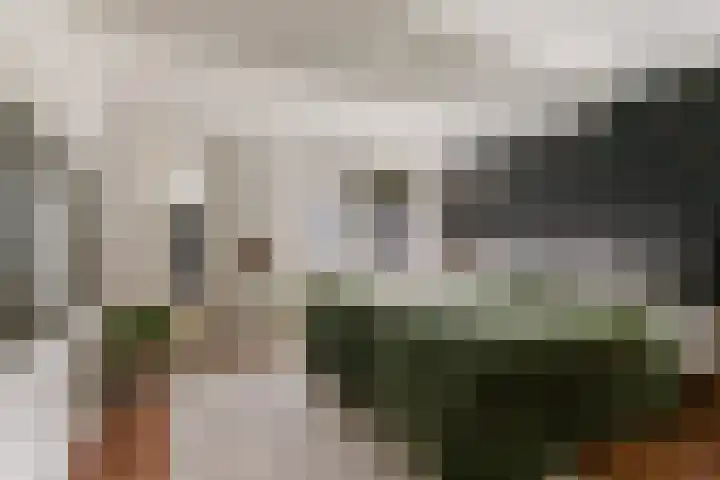 Geldelozepad 8 Dordrecht thumbnail 15