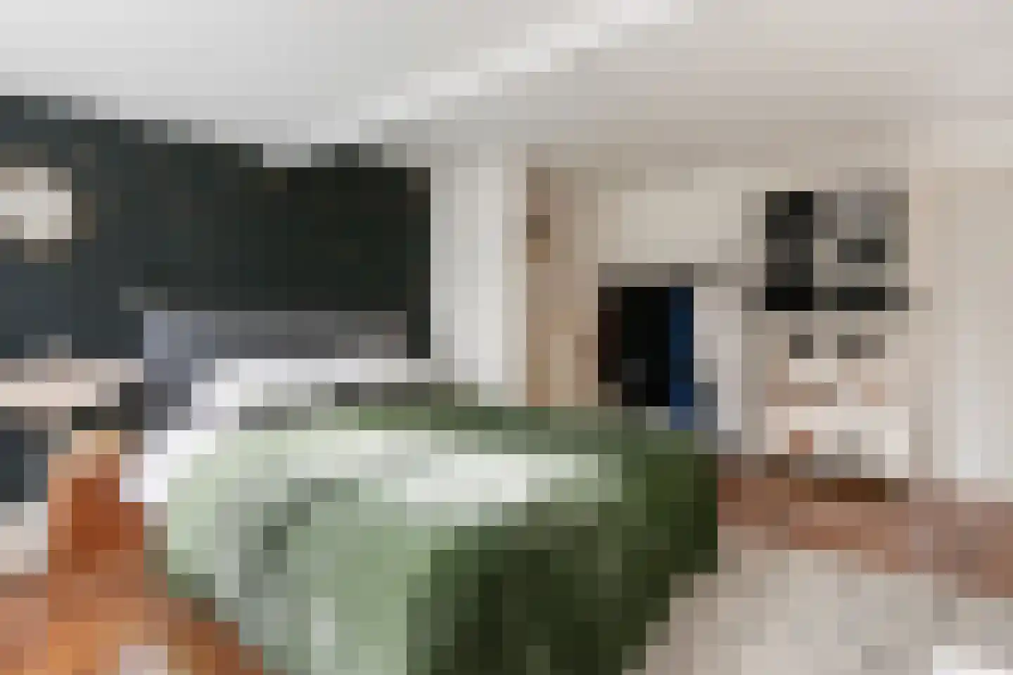 Geldelozepad 8 Dordrecht thumbnail 16