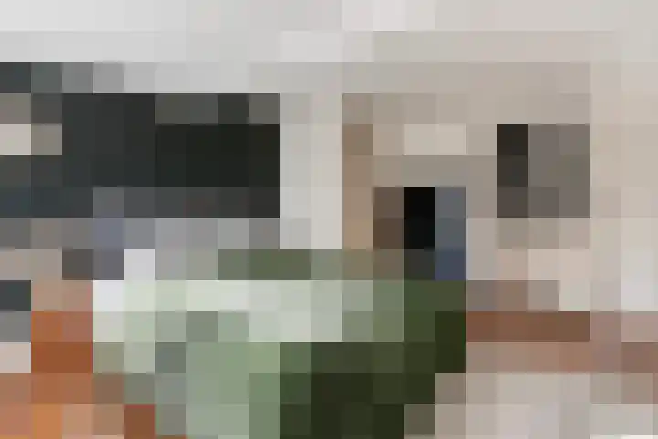 Geldelozepad 8 Dordrecht thumbnail 16