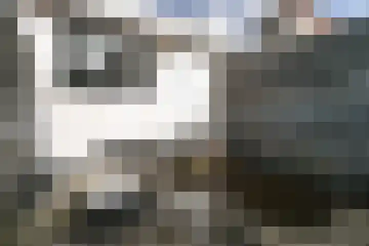 Geldelozepad 8 Dordrecht thumbnail 19