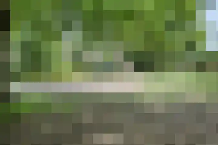 Geldelozepad 8 Dordrecht thumbnail 25