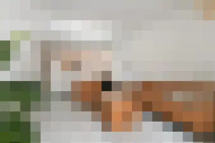 Geldelozepad 8 Dordrecht thumbnail 4