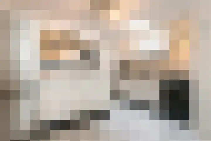 Geldelozepad 8 Dordrecht thumbnail 6