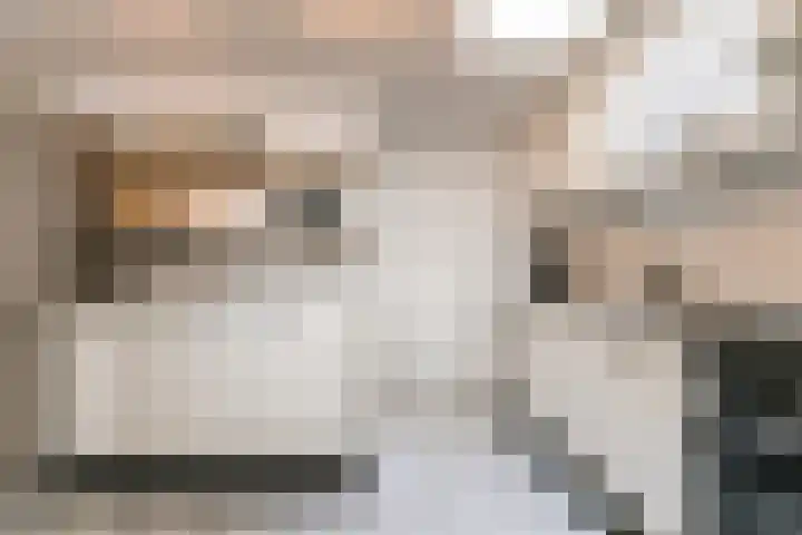 Geldelozepad 8 Dordrecht thumbnail 7