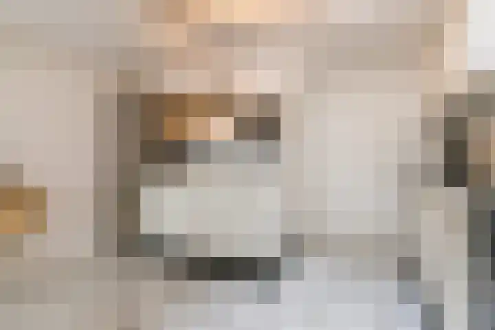 Geldelozepad 8 Dordrecht thumbnail 8