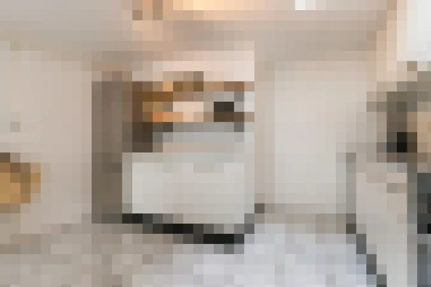 Geldelozepad 8 Dordrecht thumbnail 8