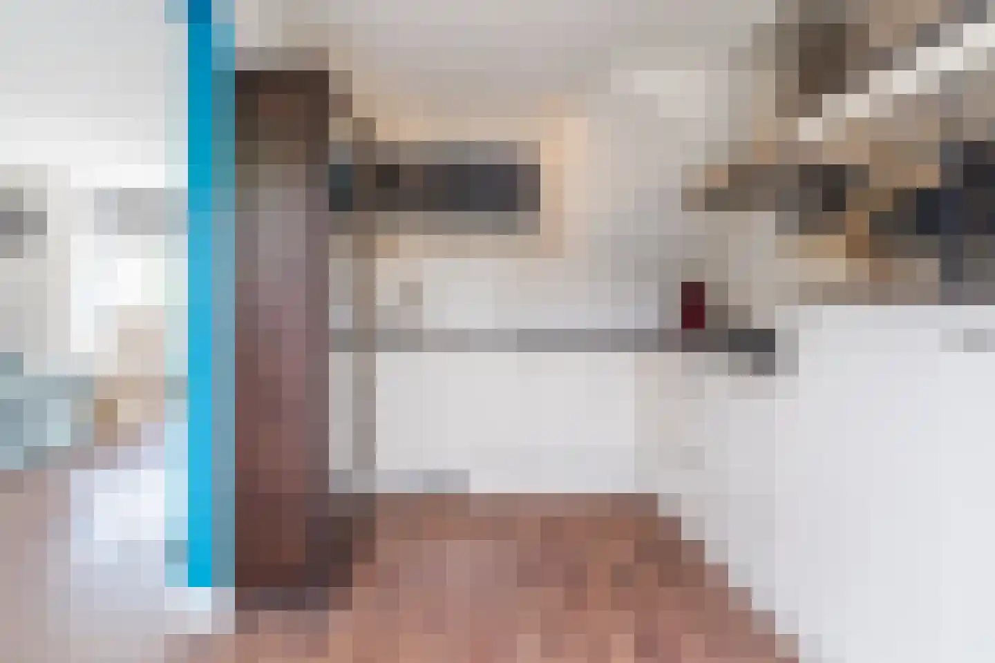 Geldenakker 9 Erichem thumbnail 12