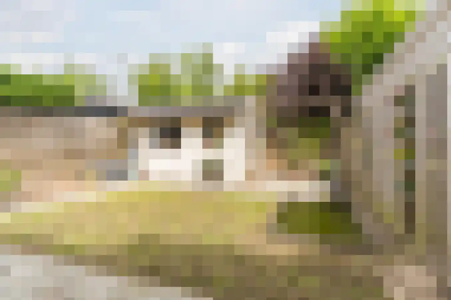 Geldenakker 9 Erichem thumbnail 24