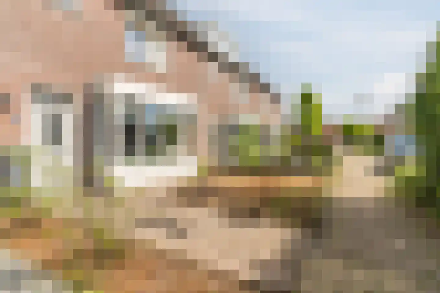Geldenakker 9 Erichem thumbnail 25