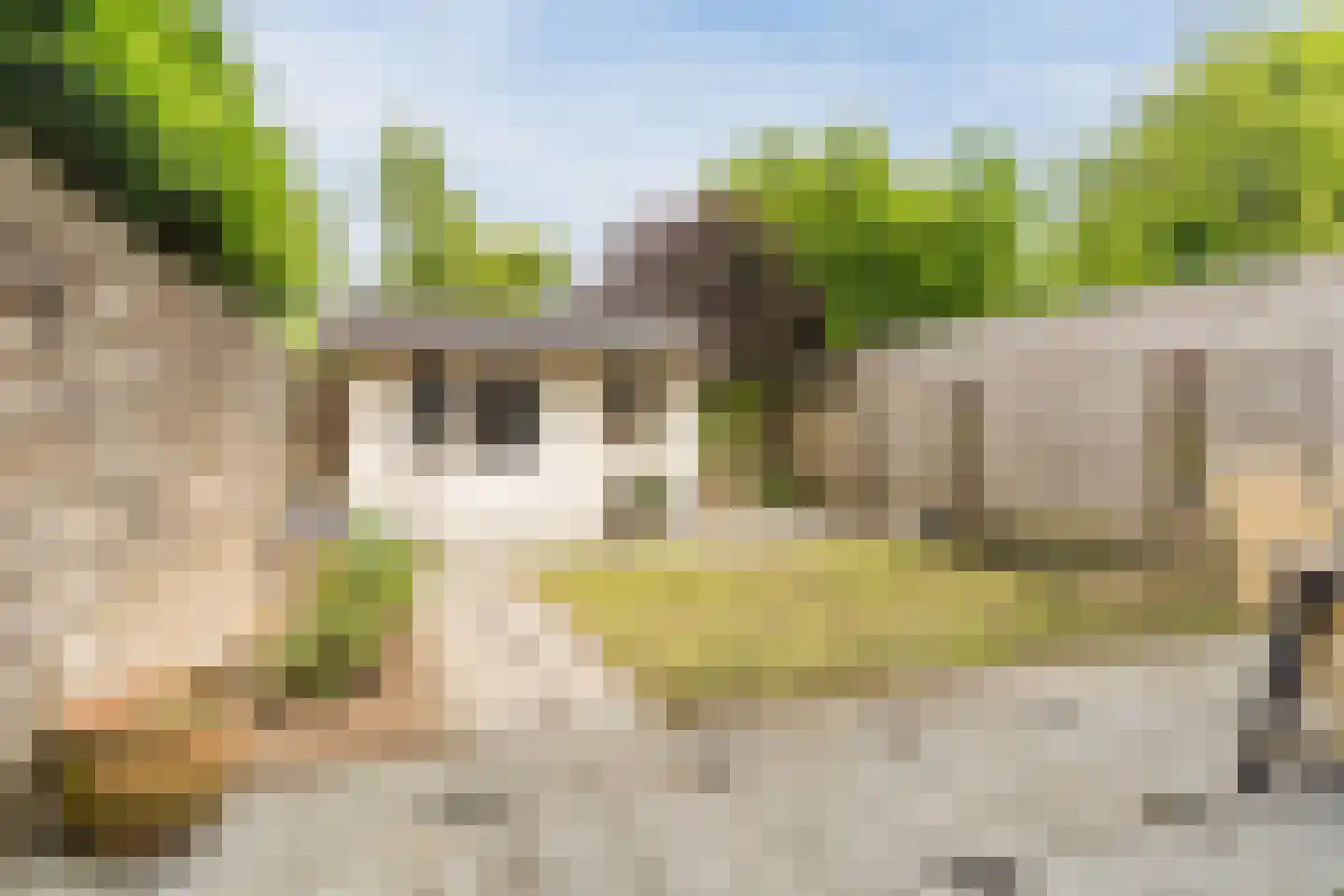 Geldenakker 9 Erichem thumbnail 4