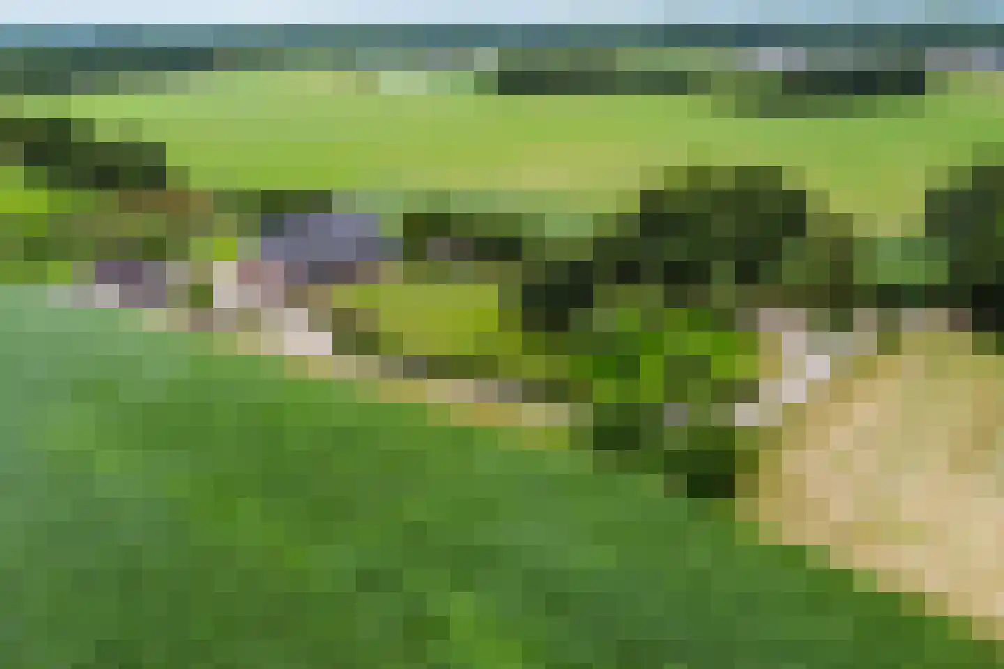 Geldereschweg 120 Winterswijk Meddo thumbnail 5