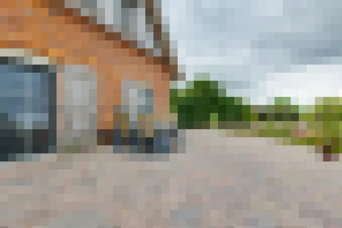 Geldereschweg 120 Winterswijk Meddo thumbnail 55