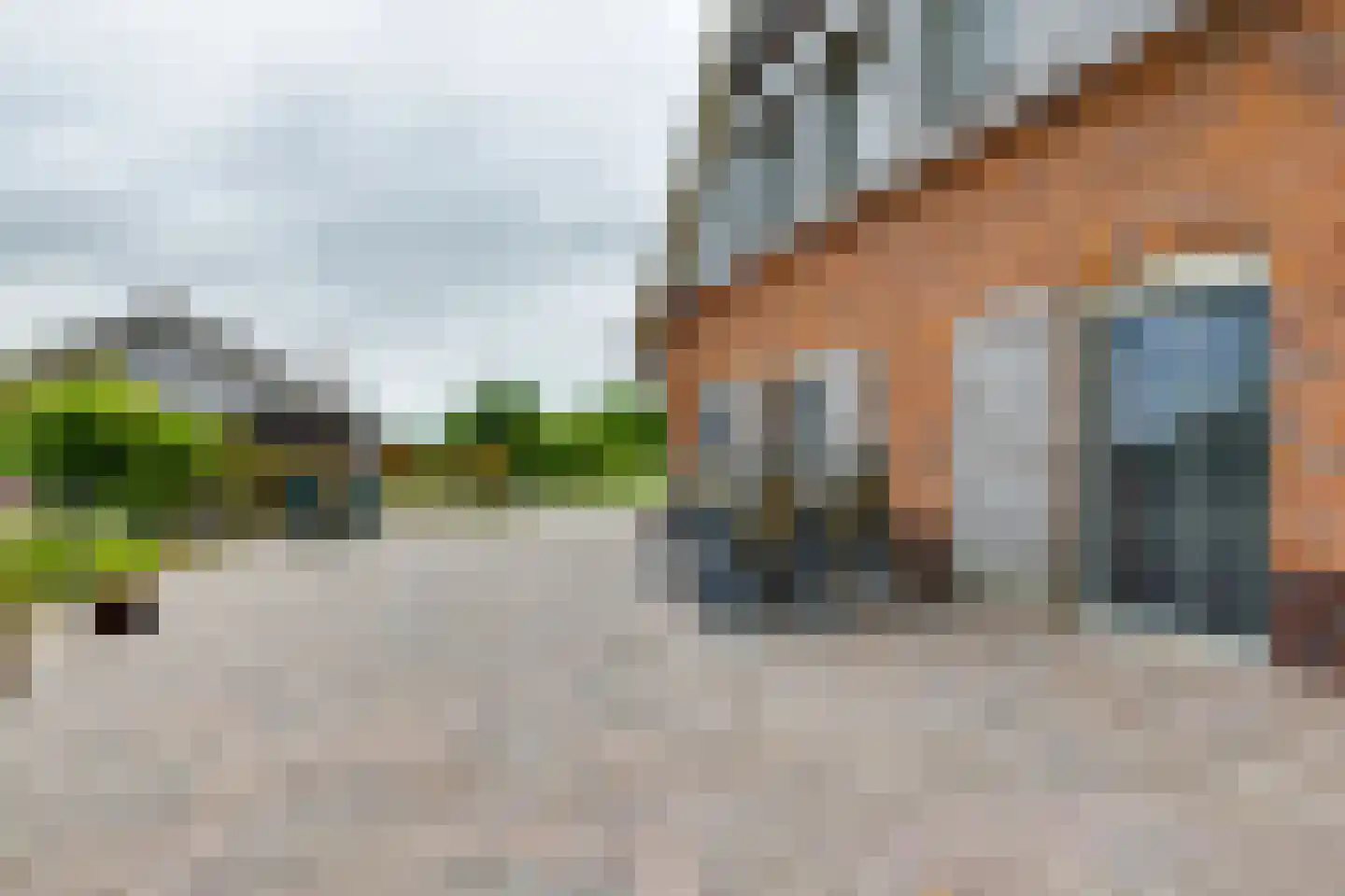 Geldereschweg 120 Winterswijk Meddo thumbnail 56