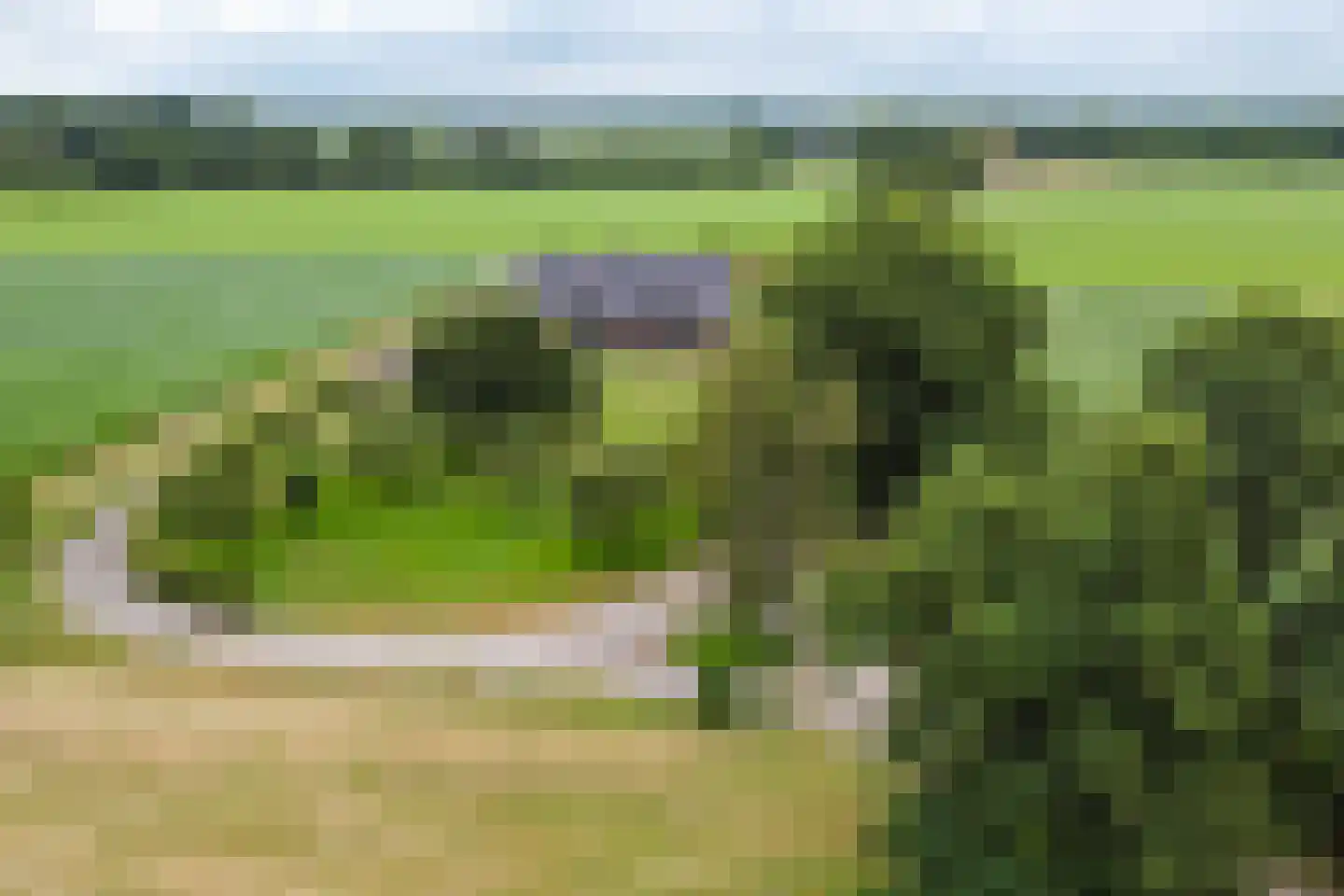 Geldereschweg 120 Winterswijk Meddo thumbnail 66