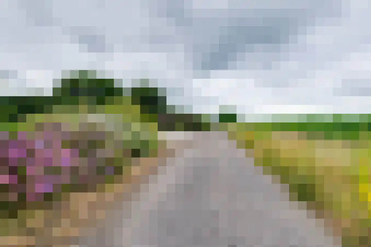 Geldereschweg 120 Winterswijk Meddo thumbnail 77