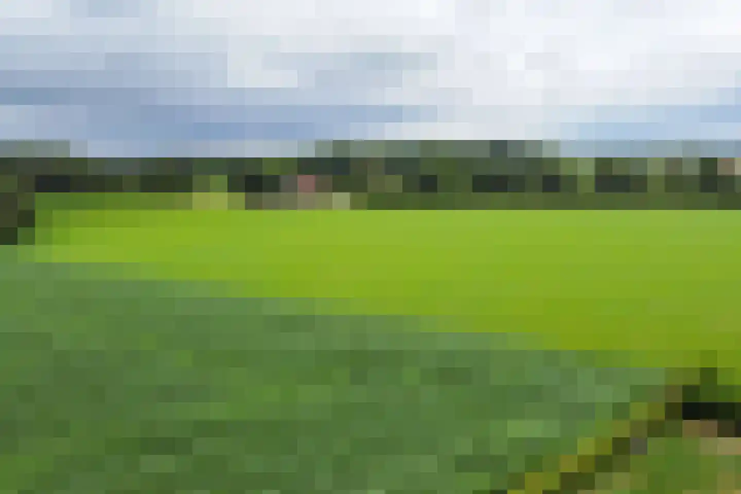 Geldereschweg 120 Winterswijk Meddo thumbnail 81