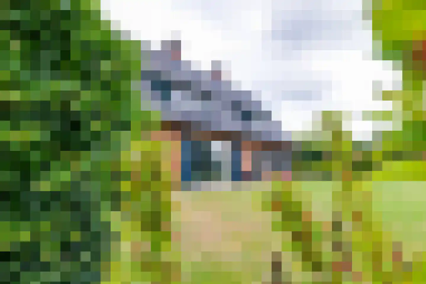 Geldereschweg 122 Winterswijk Meddo thumbnail 10