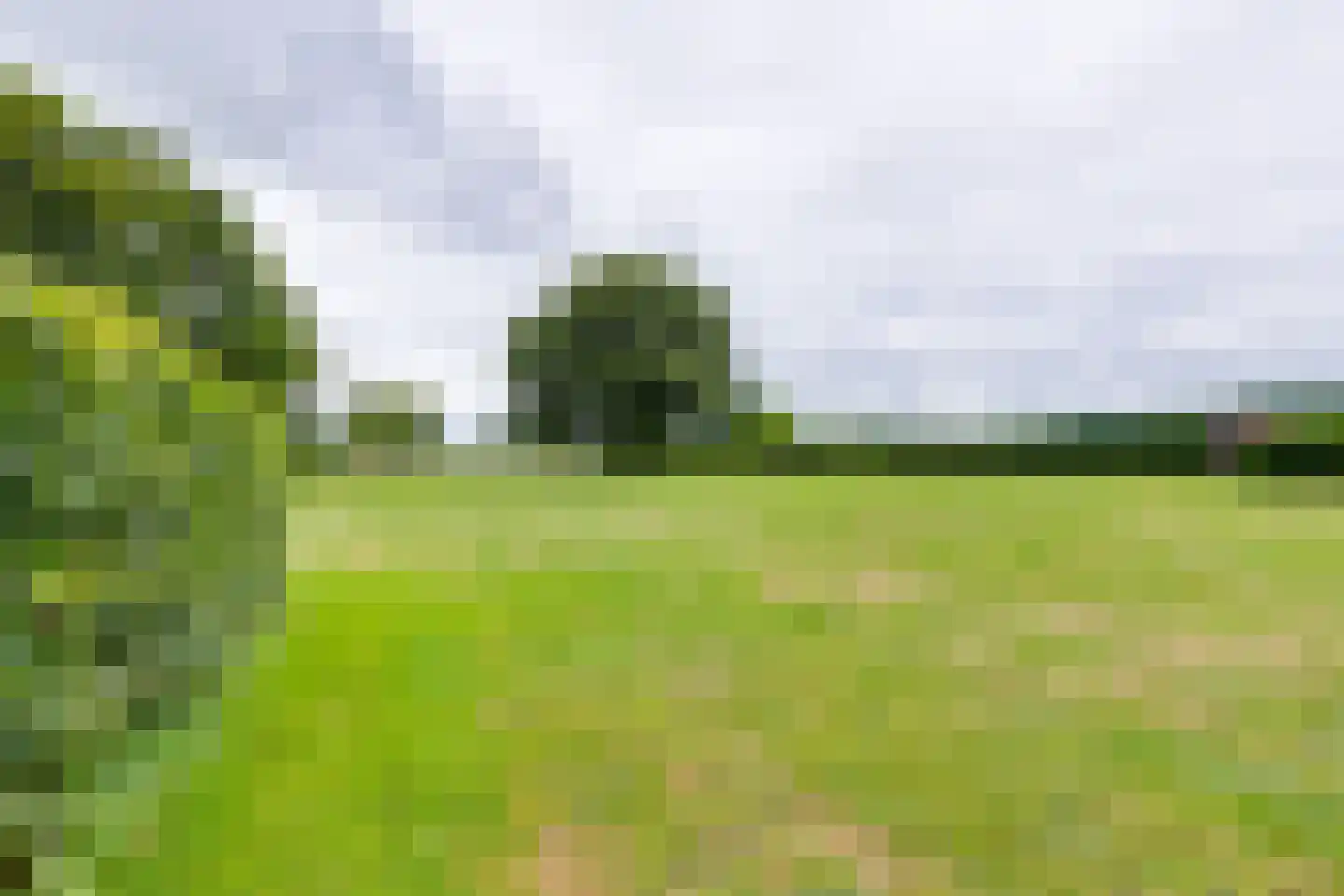 Geldereschweg 122 Winterswijk Meddo thumbnail 11