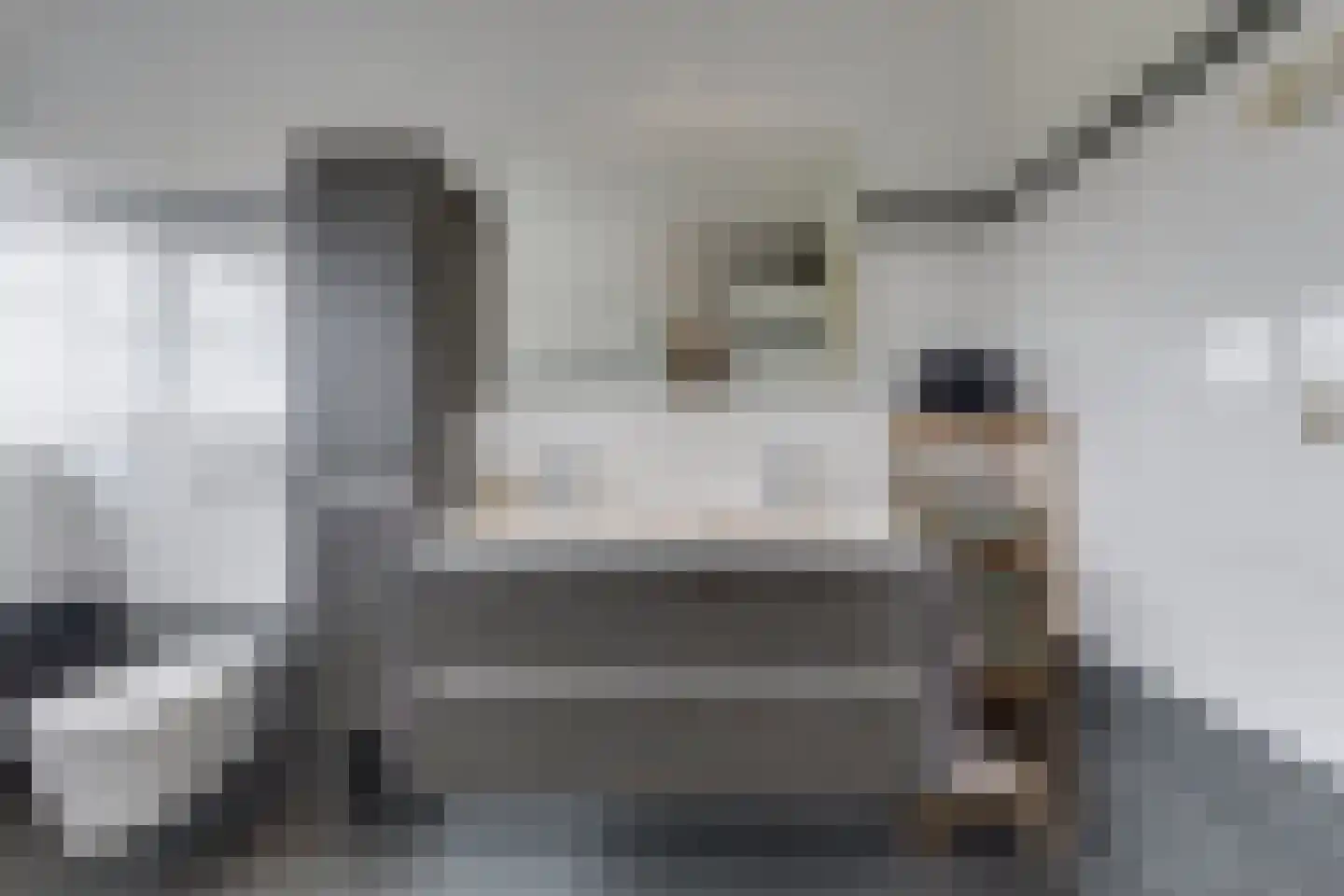 Geldereschweg 122 Winterswijk Meddo thumbnail 46