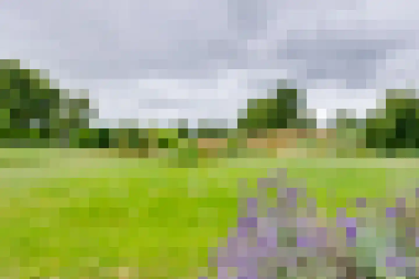 Geldereschweg 122 Winterswijk Meddo thumbnail 61