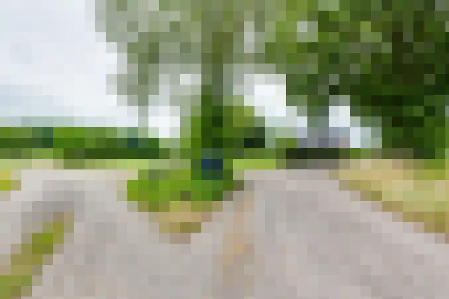 Geldereschweg 122 Winterswijk Meddo thumbnail 7