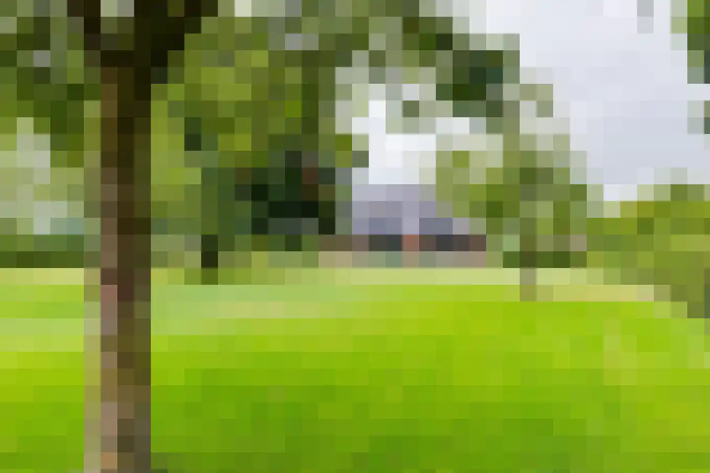 Geldereschweg 122 Winterswijk Meddo thumbnail 9