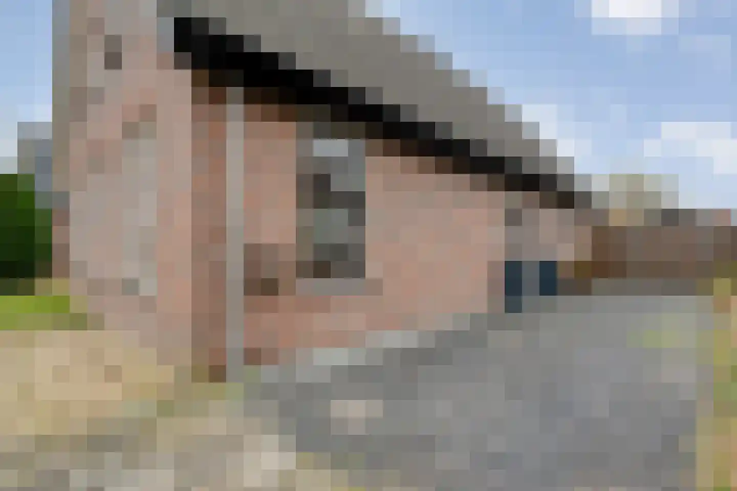 Gelderingen 16 Steenwijkerwold thumbnail 10