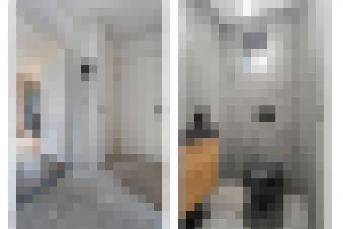 Gelderingen 16 Steenwijkerwold thumbnail 15