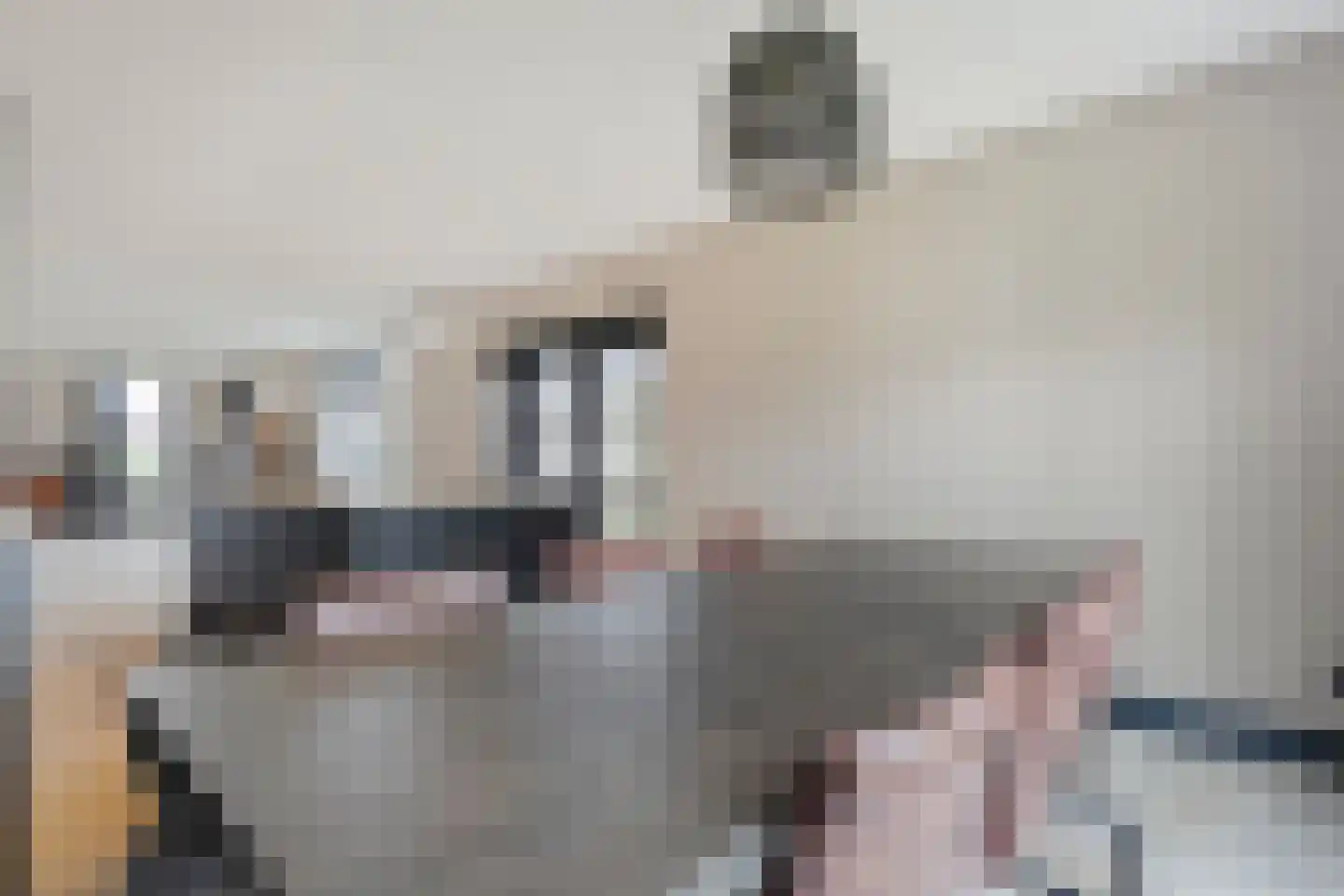 Gelderingen 16 Steenwijkerwold thumbnail 23