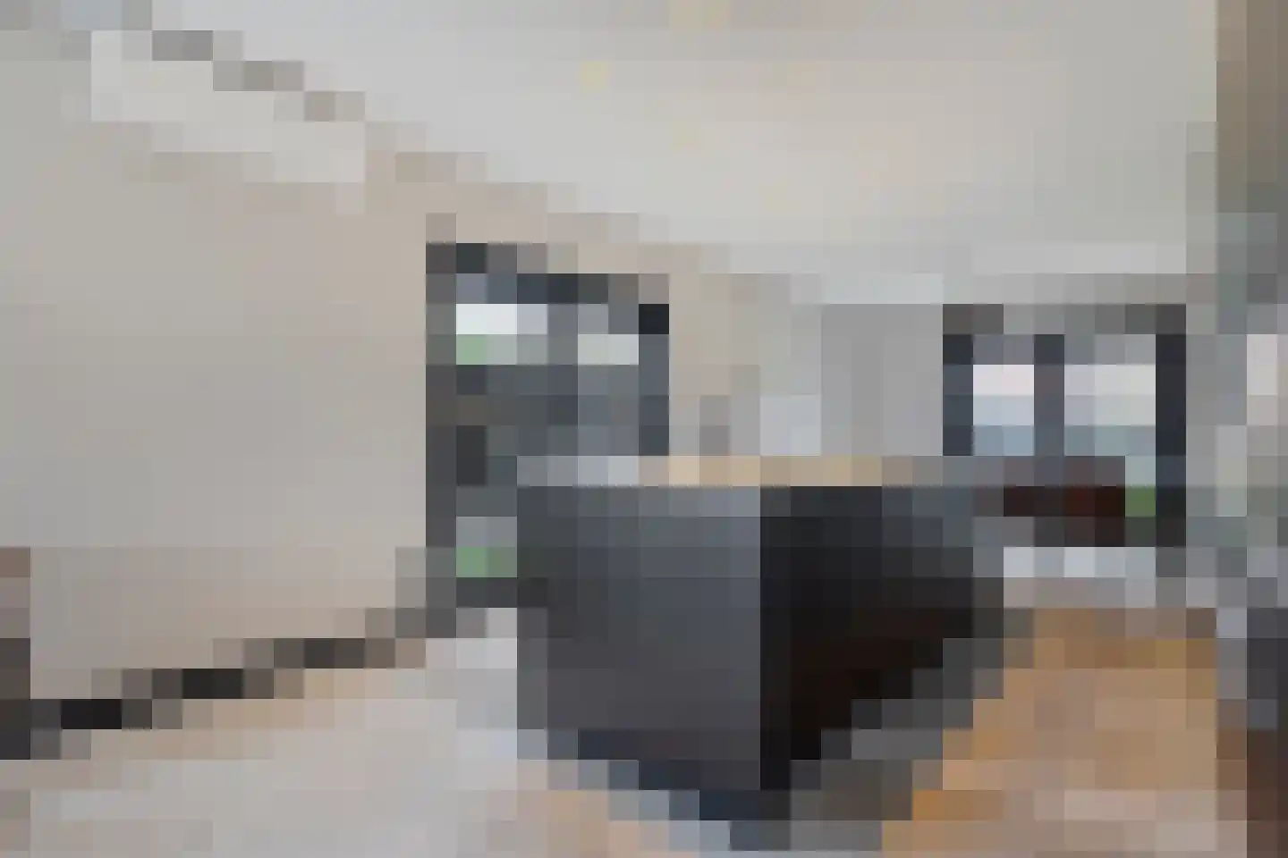 Gelderingen 16 Steenwijkerwold thumbnail 25