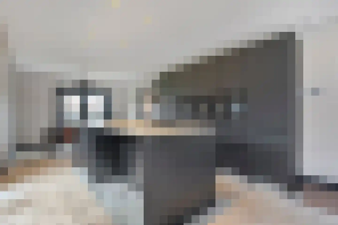 Gelderingen 16 Steenwijkerwold thumbnail 26