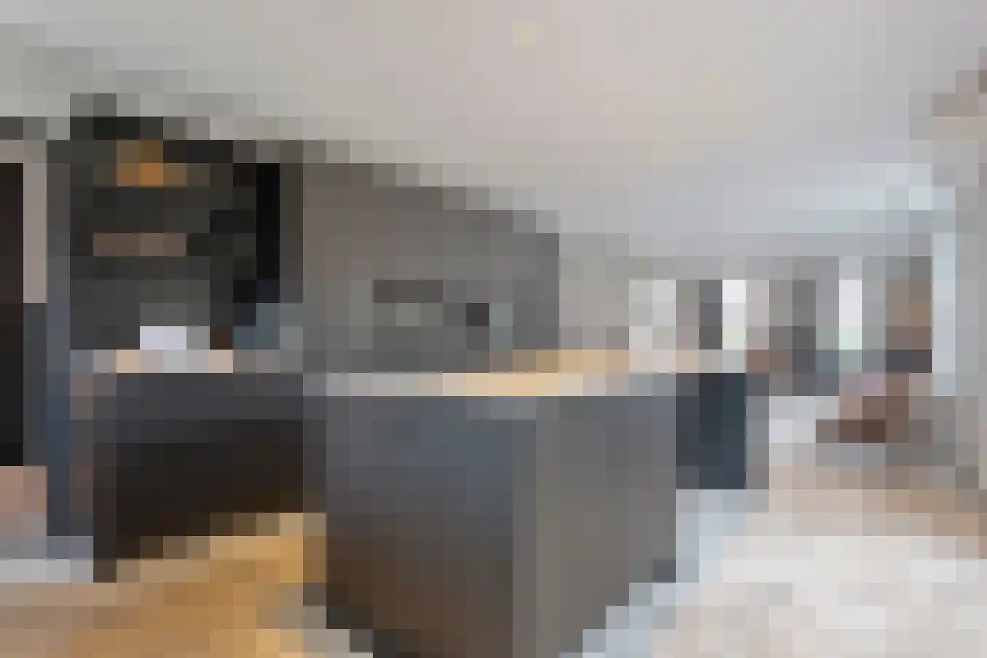 Gelderingen 16 Steenwijkerwold thumbnail 27