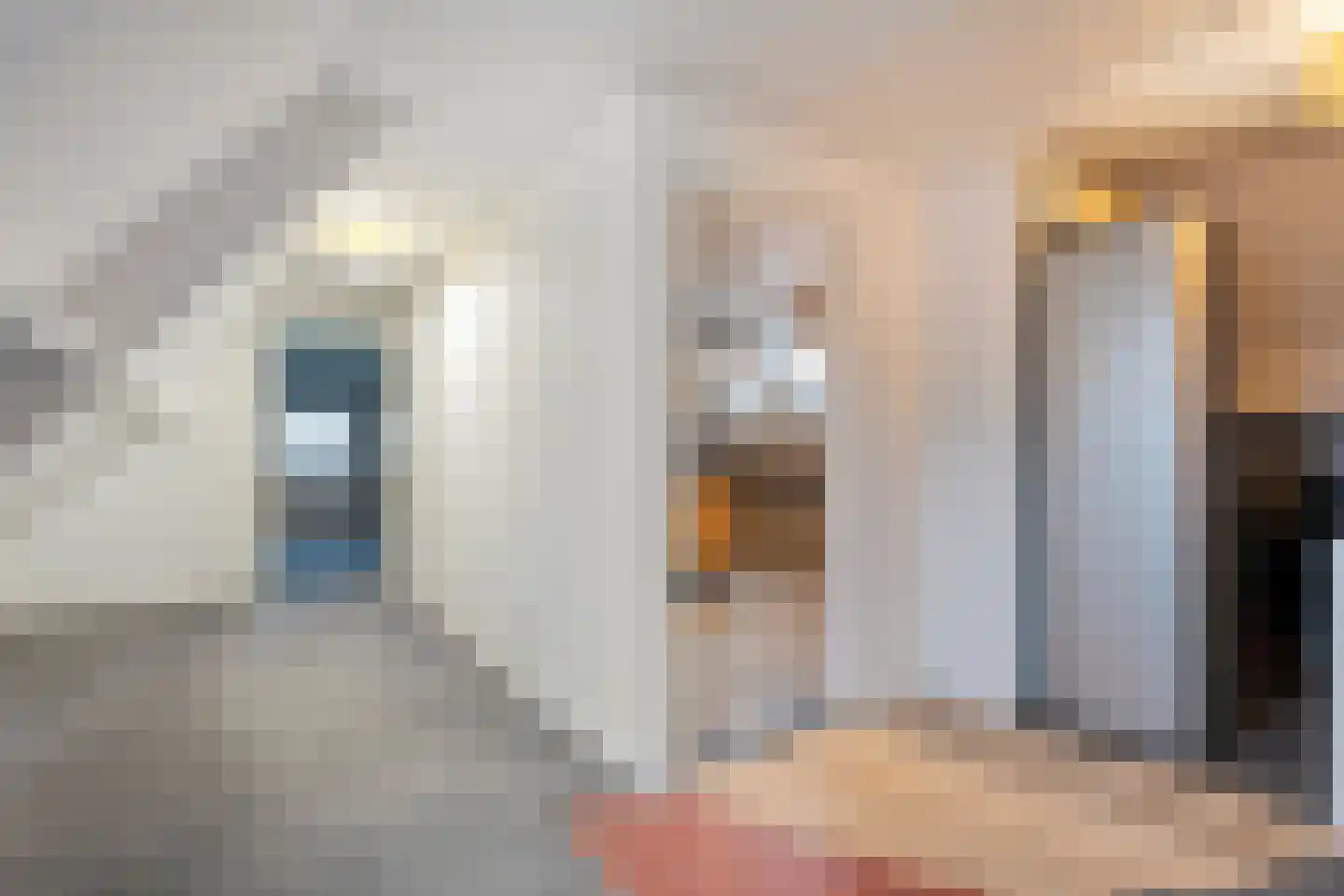 Gelderingen 16 Steenwijkerwold thumbnail 31