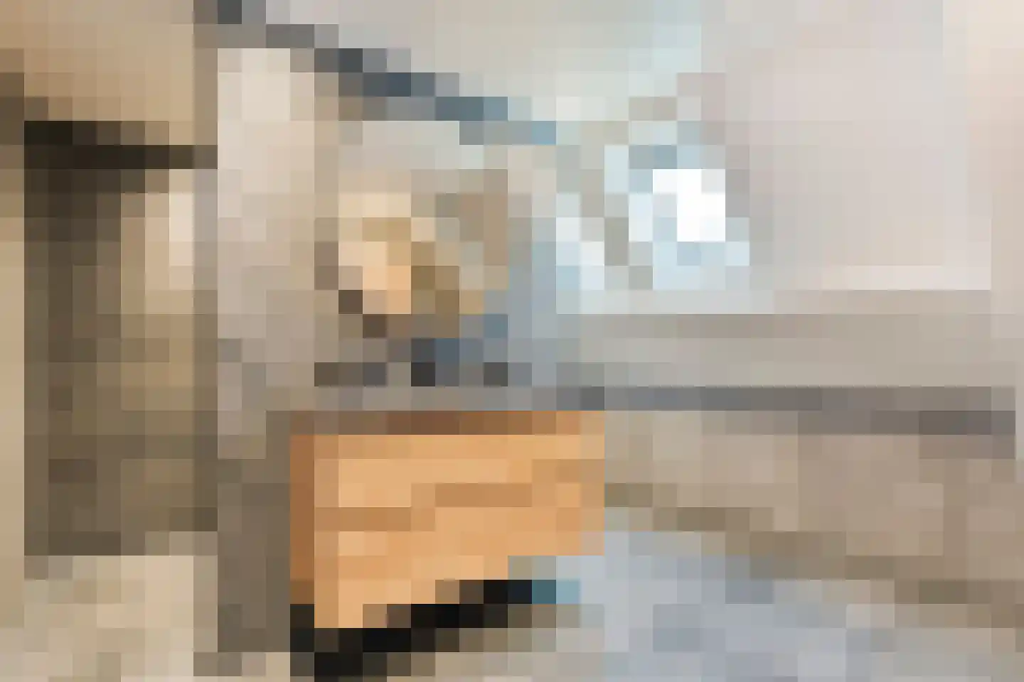 Gelderingen 16 Steenwijkerwold thumbnail 37