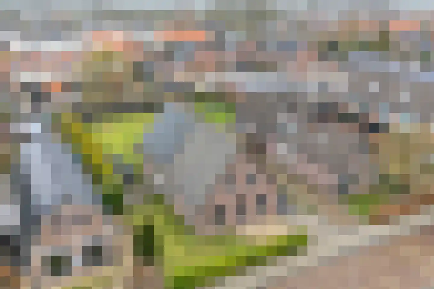 Gelderingen 16 Steenwijkerwold thumbnail 5