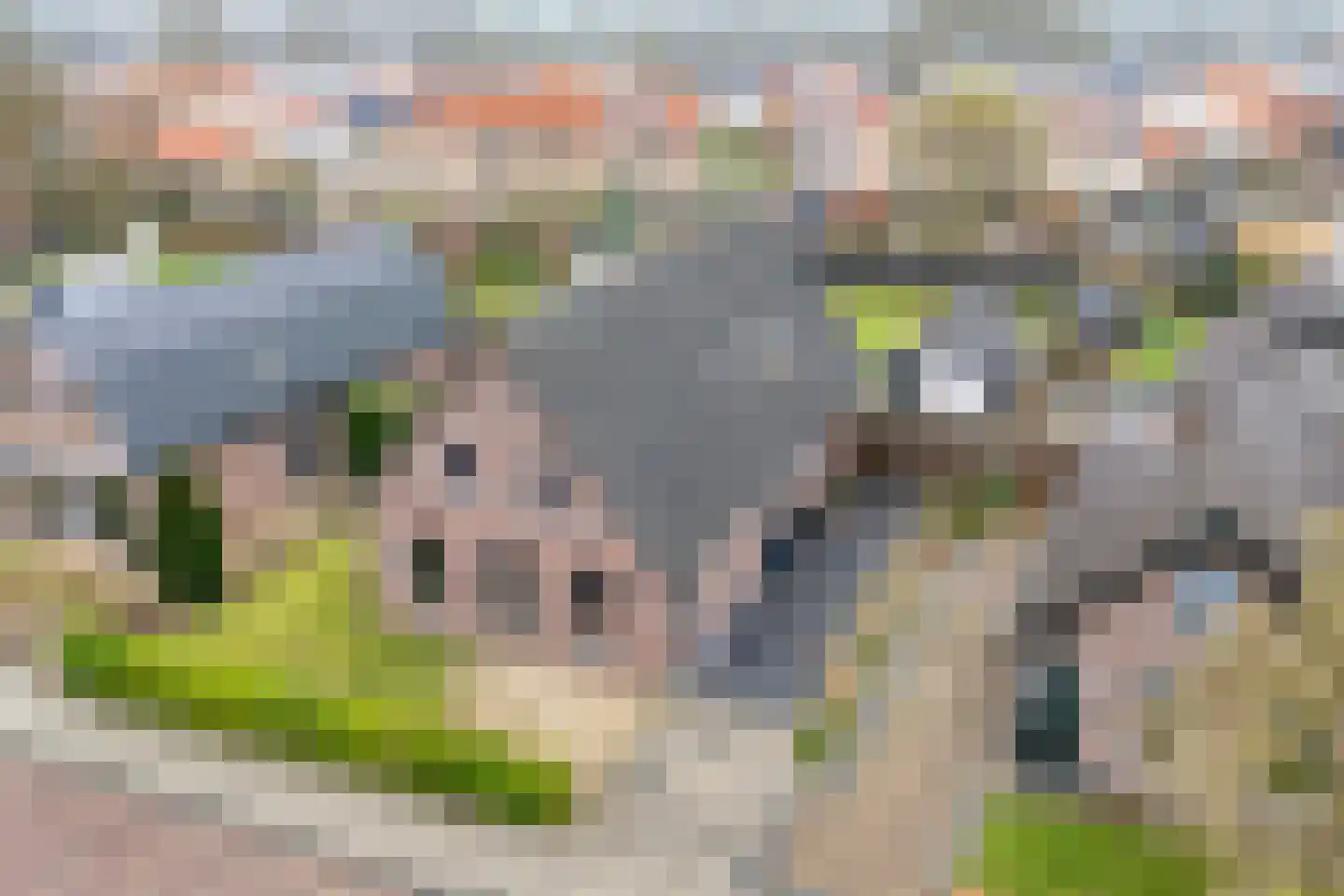 Gelderingen 16 Steenwijkerwold thumbnail 6