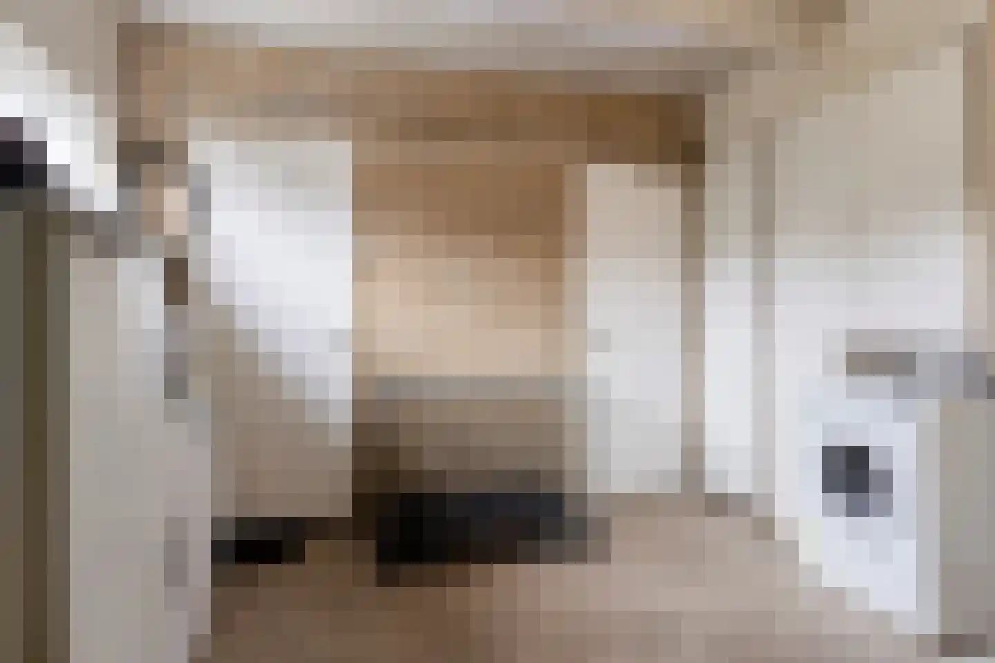 Gelderingen 32 Steenwijkerwold thumbnail 11