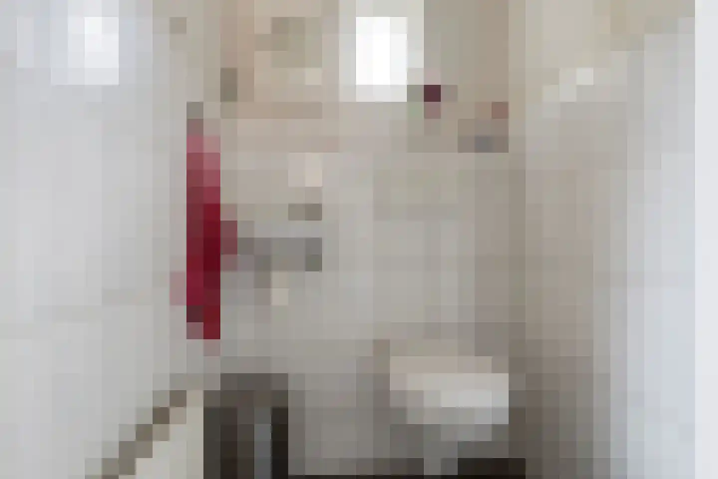 Gelderingen 32 Steenwijkerwold thumbnail 14