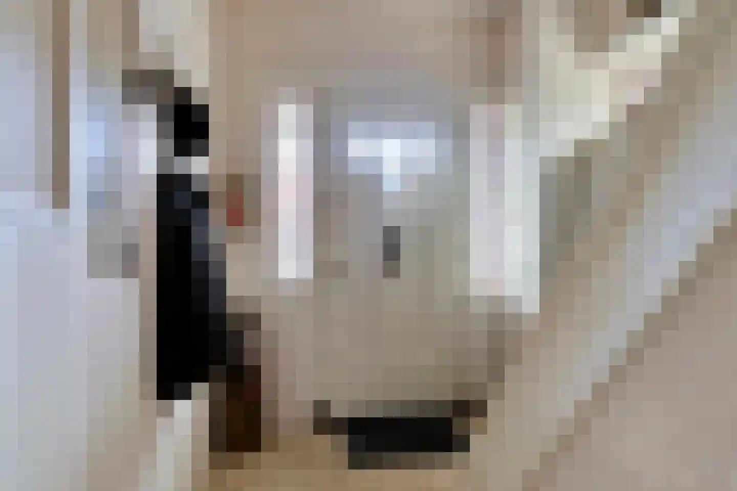 Gelderingen 32 Steenwijkerwold thumbnail 15