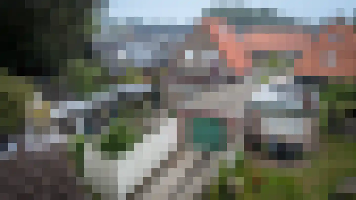 Gelderingen 32 Steenwijkerwold thumbnail 37
